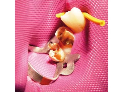 Wedjets silné oranžové 2,1m