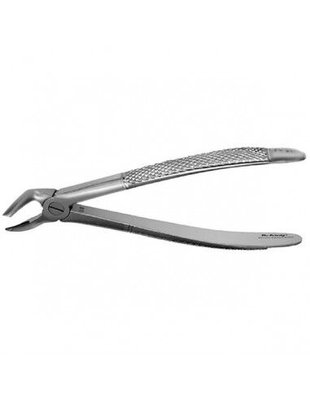 Forceps #31 Europ., IM Roots